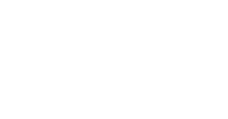DS Robotics